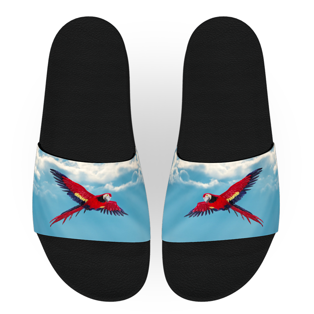 MMENT Parot Bay slides