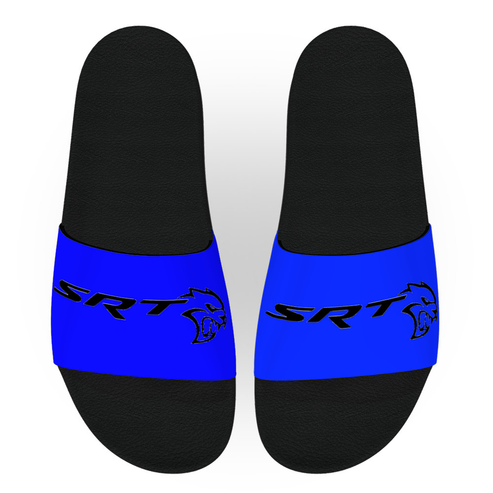 MMENT Blue SRT slides